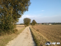 DSC00865