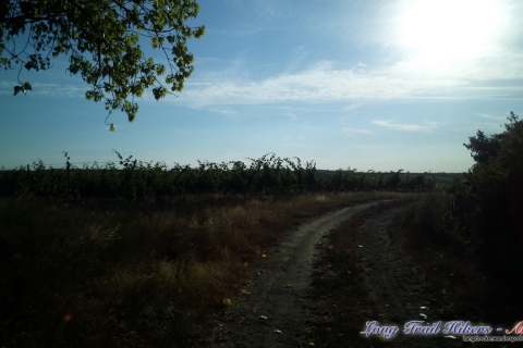 Trailrocking 08.07.2017