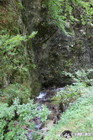 img_1704