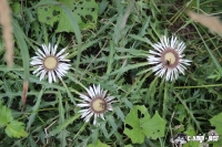 IMG_1780