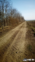img_20170325_080133