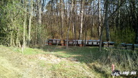 img_20170325_081507