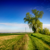 dsc00530