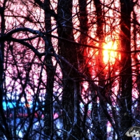 img_0309_tonemapped