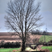 img_0613_tonemapped