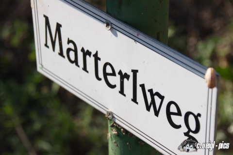 Bockfließer Marterlweg (30.08.2016)