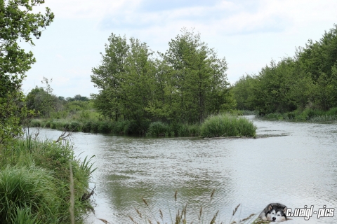 Fototour im Marchfeld