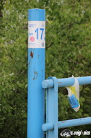 img_1976