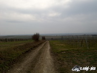 dsc00256