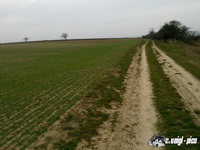 dsc00285