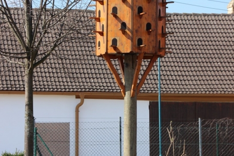 Herrenbaumgarten - Das verruckte Dorf