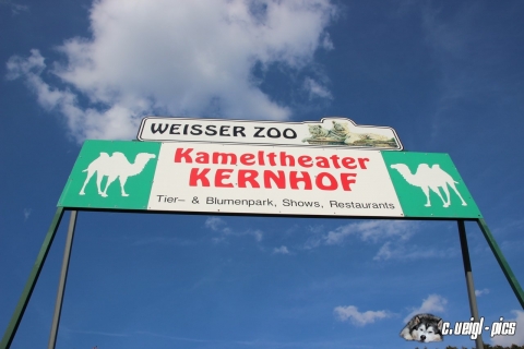 Kameltheater Kernhof mit weißem Zoo