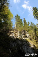 img_6203