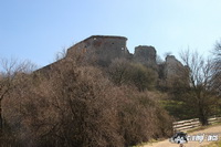 img_0745