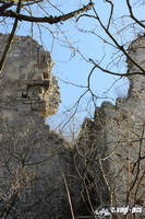 img_0766