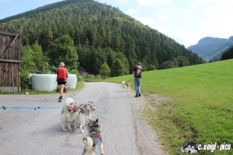 Unterberg-Hiking ab Grieshof