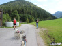 Unterberg-Hiking ab Grieshof