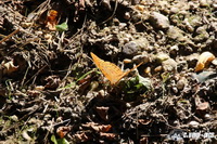 img_4293