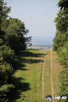 img_4350