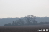 img_7254