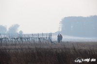 img_7307
