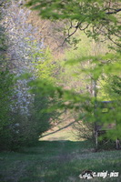 img_7746
