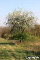 img_7761