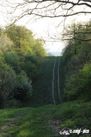 img_7809