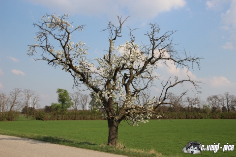 Mit der Kamera unterwegs - 2017