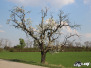 Fruehling 2017
