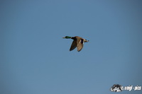 img_7560