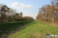 img_7576