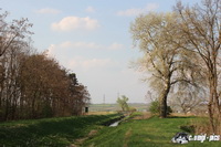 img_7587