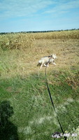 img_20171001_143435