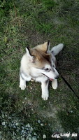 img_20171001_143911