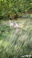 img_20171001_144947