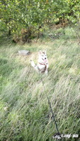 img_20171001_144951