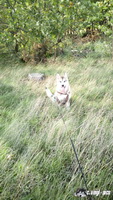 img_20171001_144954