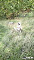 img_20171001_144955