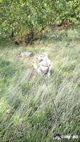 img_20171001_144956