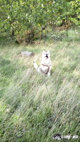 img_20171001_145001