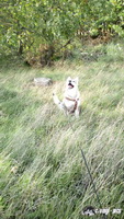 img_20171001_145003