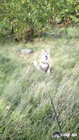 img_20171001_145004
