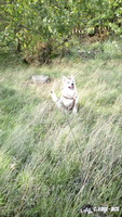 img_20171001_145005