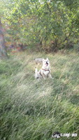 img_20171001_145020