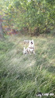 img_20171001_145026