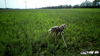 img_20171001_145711