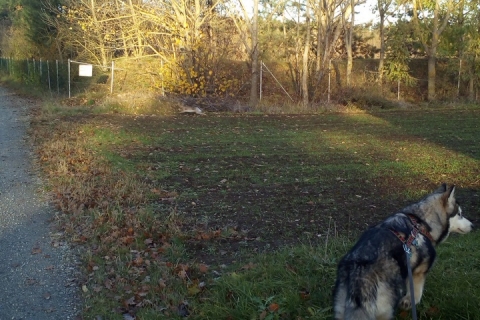 Spaziergang in der Großengersdorfer Remise (22.11.2017)