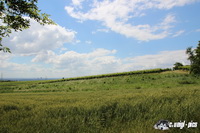 img_9080