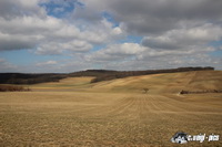 img_7440